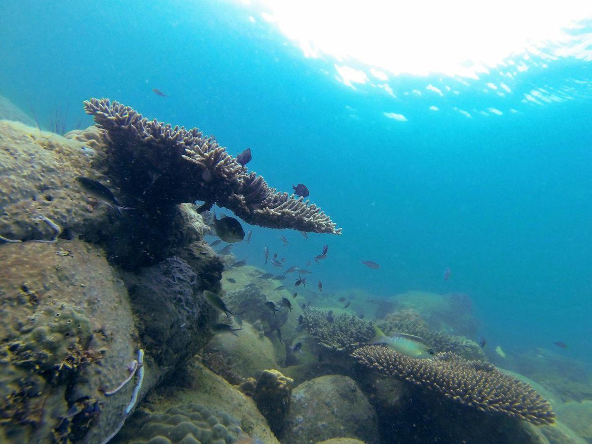 Green Blue Beach Hostel เกาะรงสำลน ภายนอก รูปภาพ